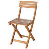 Montana Chair in Acacia
