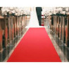 Red Carpet 5x1 m