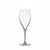 Champagne glass